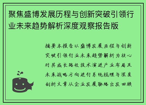聚焦盛博发展历程与创新突破引领行业未来趋势解析深度观察报告版 聚焦盛博发展历程与创新突破引领行业未来趋势解析深度观察报告版